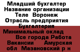 Младший бухгалтер › Название организации ­ Теле2-Воронеж › Отрасль предприятия ­ Бухгалтерия › Минимальный оклад ­ 28 000 - Все города Работа » Вакансии   . Амурская обл.,Мазановский р-н